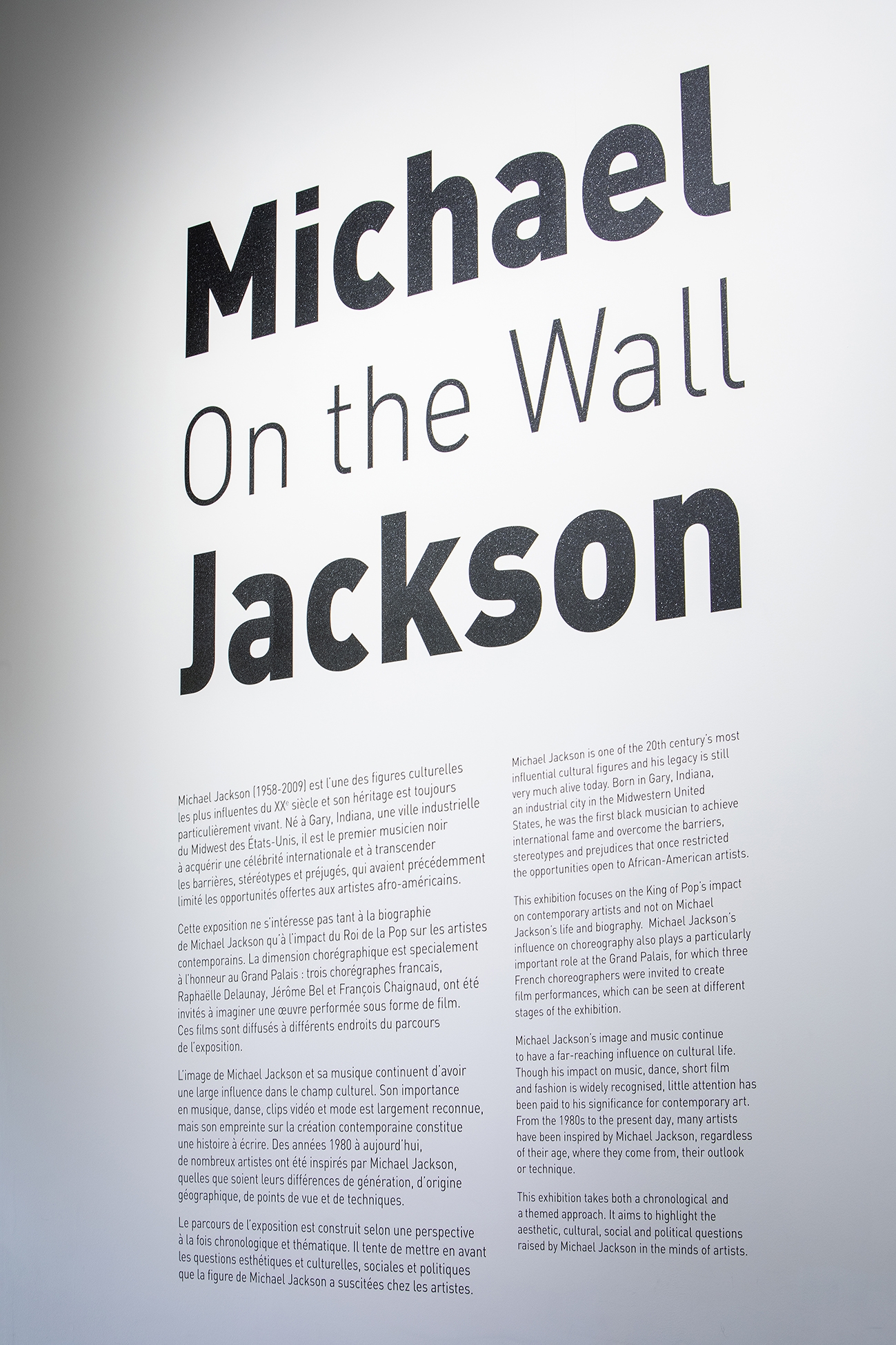 aura-studio-michael-jackson-on-the-wall_julien-lelievre-vaste-2019-01-mj-a31a6125-redim.jpg